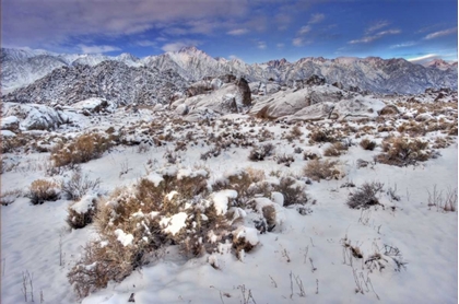 Picture of CA, SIERRA MTS, ALABAMA HILLS SNOWY LANDSCAPE