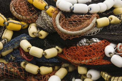 Picture of ALASKA, PETERSBURG FISHING NETS AND FLOATS