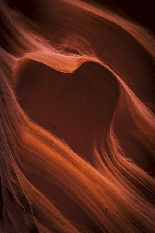 Picture of AZ, CANYON X HEART SHAPE IN SANDSTONE ROCK
