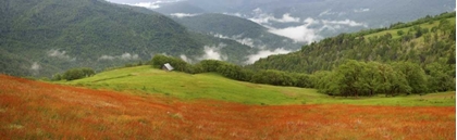 Picture of CA, REDWOODS MOUNTAIN SCENIC WITH OLD BARN