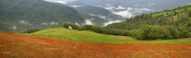 Picture of CA, REDWOODS MOUNTAIN SCENIC WITH OLD BARN