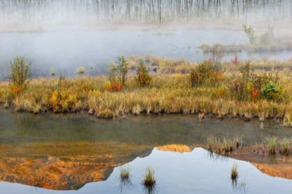 Picture of CANADA, BC, MOUNT ROBSON PP LAKE AND FOG