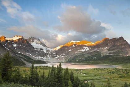 Picture of CANADA, BC SUNRISE ON MAGOG LAKE MEADOWS