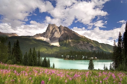 Picture of CANADA, BC, YOHO NP VIEW OF EMERALD LAKE