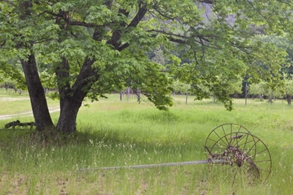 Picture of WA, STEHEKIN BUCKNER ORCHARD AND HOMESTEAD