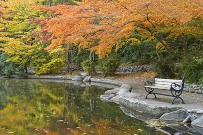 Picture of OR, LITHIA PARK WALKWAY BENCH NEXT TO POND