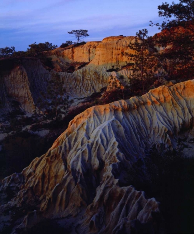 Picture of CA, SAN DIEGO SANDSTONE AT TORREY PINES SP