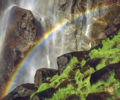 Picture of CA, YOSEMITE A RAINBOWAT BRIDAL VEIL FALLS