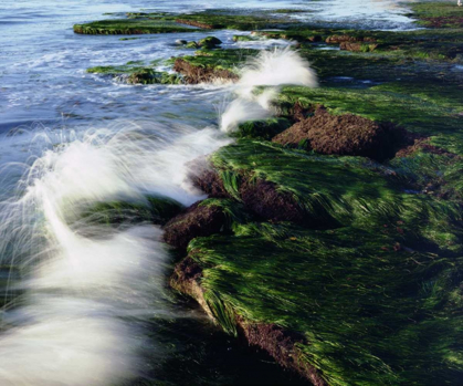 Picture of CA, SAN DIEGO WAVES BREAKING ON TIDE POOLS