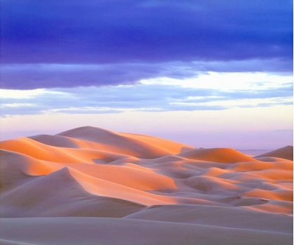 Picture of USA, CALIFORNIA, GLAMIS SAND DUNES AT SUNSET