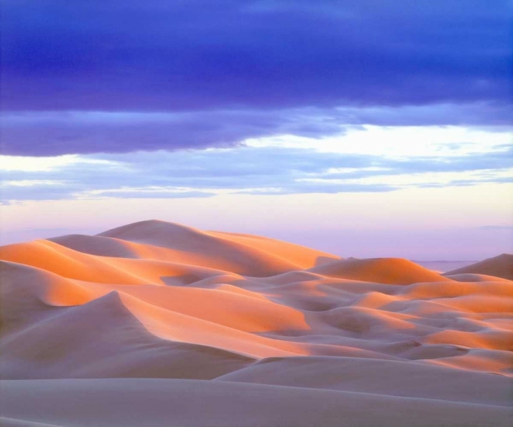 Picture of USA, CALIFORNIA, GLAMIS SAND DUNES AT SUNSET