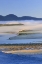 Picture of USA, OREGON FOG OVER NETARTS BAY