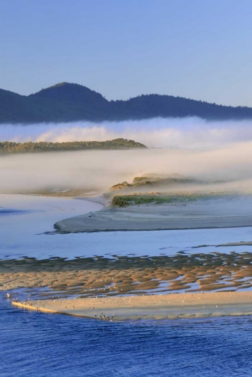 Picture of USA, OREGON FOG OVER NETARTS BAY