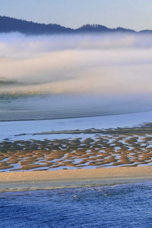 Picture of USA, OREGON FOG OVER NETARTS BAY