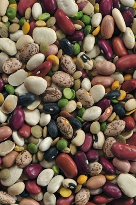 Picture of USA COLORFUL DRIED BEAN SOUP MIXTURE