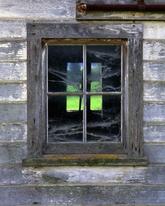 Picture of OR, WILLAMETTE VALLEY OLD BARN WINDOW