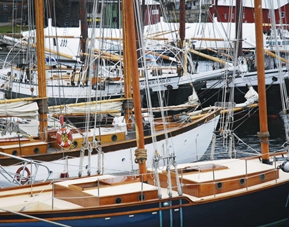 Picture of USA, MAINE, CAMDEN SAILBOATS IN HARBOR