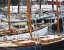 Picture of USA, MAINE, CAMDEN SAILBOATS IN HARBOR