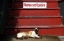 Picture of OR, PORTLAND SIAMESE CAT SUNNING ITSELF