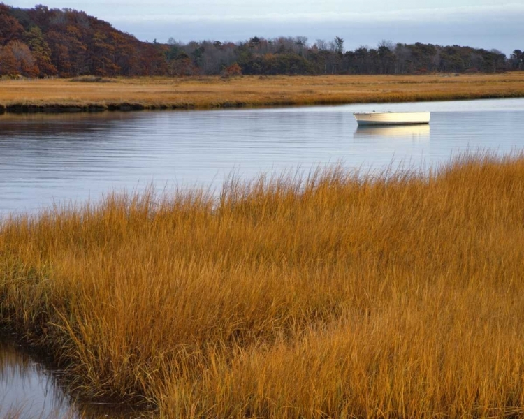 Picture of USA, MAINE BOAT ANCHORED IN MOUSAM RIVER