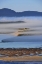 Picture of USA, OREGON MORNING FOG OVER NETARTS BAY