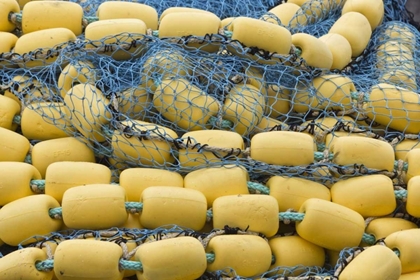 Picture of ALASKA, HOONAH COMMERCIAL FISHING NET AND FLOATS