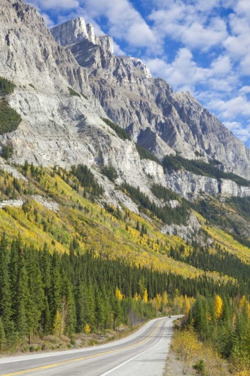 Picture of CANADA, ALBERTA, JASPER NP THE ICEFIELDS PARKWAY