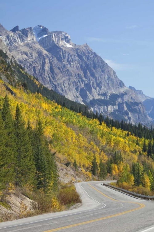 Picture of CANADA, ALBERTA, JASPER NP THE ICEFIELDS PARKWAY