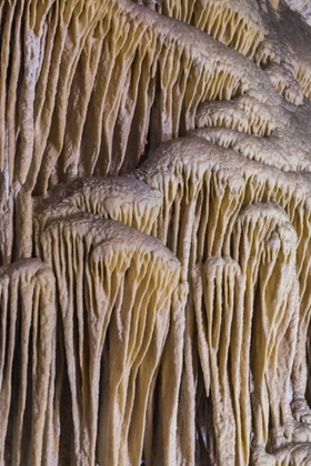 Picture of NEW MEXICO, CARLSBAD CAVERNS LIMESTONE FORMATION