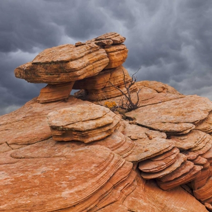 Picture of UTAH, DIXIE NF SANDSTONE FORMATION IN YANT FLATS