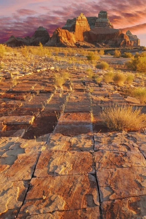 Picture of UTAH, GLEN CANYON SUNSET ON SANDSTONE FORMATIONS