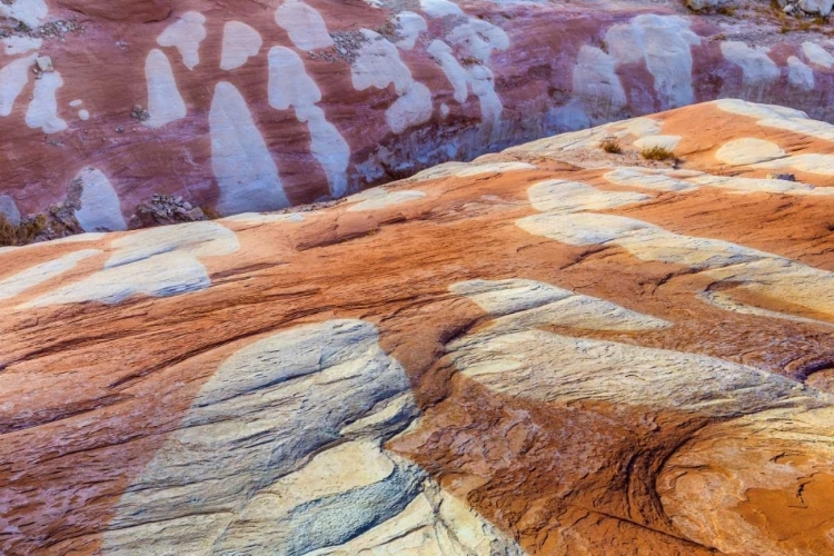 Picture of UTAH, GLEN CANYON BLEACHED PATTERNS IN SANDSTONE