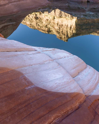 Picture of UTAH, GLEN CANYON BLEACHED PATTERNS IN SANDSTONE