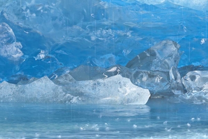 Picture of ALASKA, GLACIER BAY MELTING BLUE ON REID GLACIER