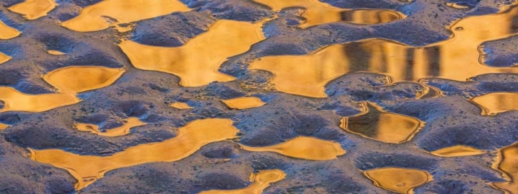 Picture of UTAH, GLEN CANYON POOL OF WATER REFLECTS A CLIFF