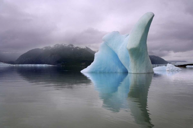 Picture of ALASKA, ALSEK RIVER VALLEY ICEBERG ON ALSEK LAKE