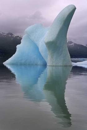 Picture of ALASKA, ALSEK RIVER VALLEY ICEBERG ON ALSEK LAKE