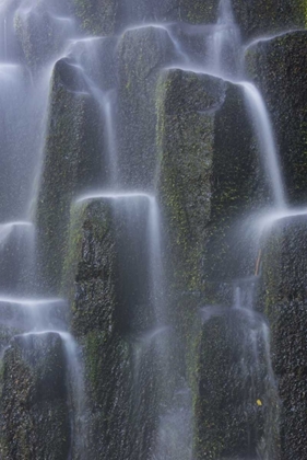 Picture of OREGON, PROXY FALLS WATERFALLS OVER BASALT