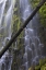 Picture of OREGON, PROXY FALLS WATERFALLS OVER BASALT