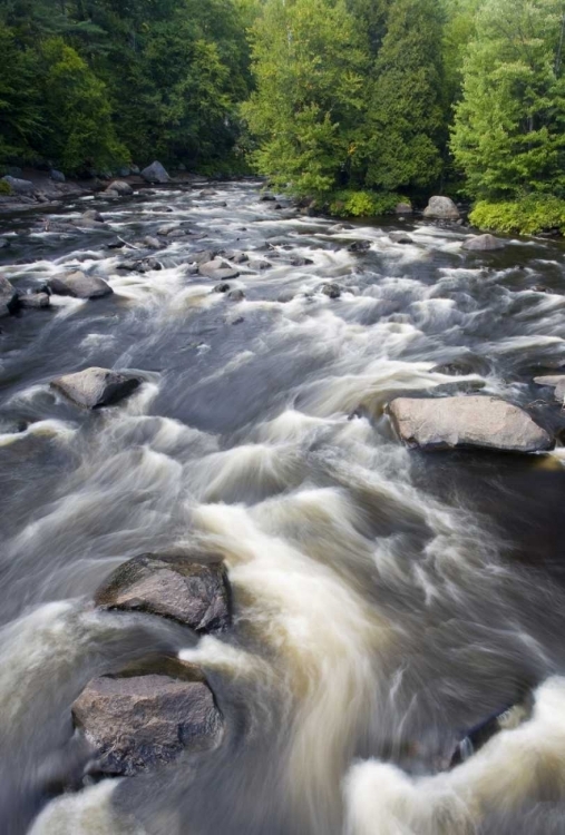 Picture of CANADA, MONT-ROLLAND RIVIERE DU NORD RAPIDS