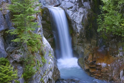 Picture of WA, MOUNT RAINIER NP CHRISTINE FALLS SCENIC