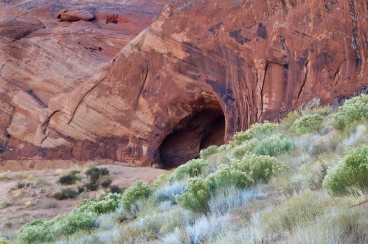 Picture of UTAH, MONUMENT VALLEY CAVE IN RED ROCK CANYON