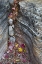 Picture of UT, ZION NP CANYON CREVICE WITH FALLEN LEAVES