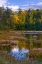 Picture of NY, ADIRONDACK MTS FOREST REFLECTIONS IN POND