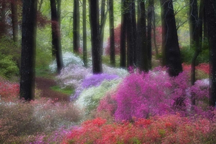 Picture of GA, IMPRESSIONISTIC TREES AND FLOWERING BUSHES