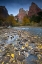 Picture of UT, ZION NP THE SENTINEL AND THE VIRGIN RIVER