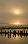 Picture of USA, OREGON, BANDON SUNRISE ON FOGGY COASTLINE