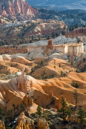 Picture of USA, UTAH HOODOO FORMATIONS IN BRYCE CANYON NP