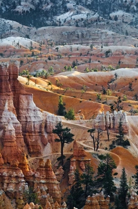 Picture of USA, UTAH HOODOO FORMATIONS IN BRYCE CANYON NP