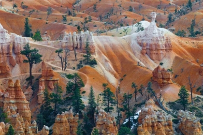 Picture of USA, UTAH HOODOO FORMATIONS IN BRYCE CANYON NP